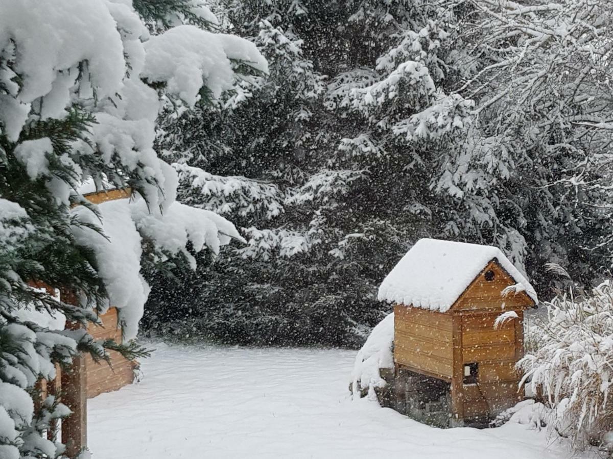 Apartmán Harzer Auszeit Hattorf am Harz Exteriér fotografie